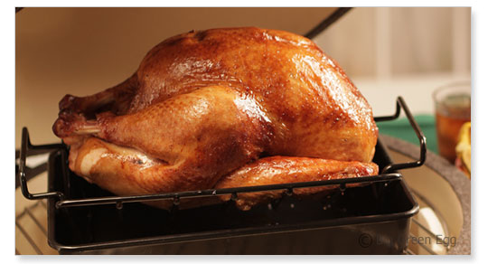 recipes-turkey-rack-egg540